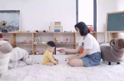(9分钟科普)西双版纳单位电话_哔哩哔哩